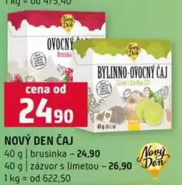 Terno Nový den čaj 40 g nabídka
