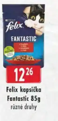 Astur&Qanto Felix kapsička Fantastic nabídka