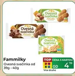 Tamda Foods Fammilky Ovesná svačinka od 39g-40g nabídka
