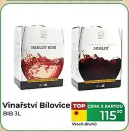 Tamda Foods Vinařství Bílovice BIB 3L nabídka