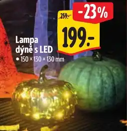 Albert Lampa dýně s LED nabídka
