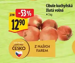 Albert Cibule kuchyňská žlutá volná nabídka