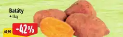 Albert Batáty nabídka
