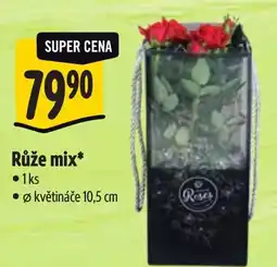 Albert Růže mix nabídka