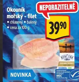 Albert Okouník mořský-filet nabídka