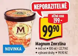 Albert Magnum Zmrzlina nabídka