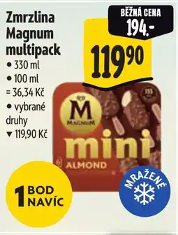 Albert Zmrzlina Magnum multipack nabídka