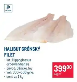 Makro Halibut grónský filet nabídka