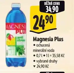 Albert Magnesia Plus nabídka