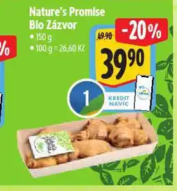 Albert Nature´s prmise bio zázvor nabídka