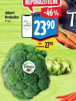 Albert Brokolice nabídka
