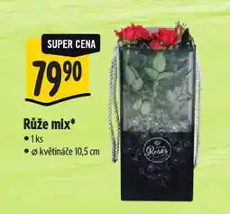 Albert Růže mix nabídka