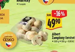 Albert Žampiony čerstvé nabídka