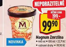Albert Zmrzlina magnum nabídka