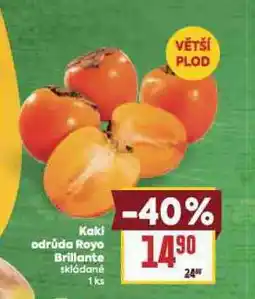Billa Kaki odrůda royo briliante nabídka