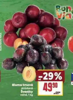 Billa Švestky nabídka