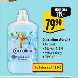 Albert Coccolino Aviváž nabídka