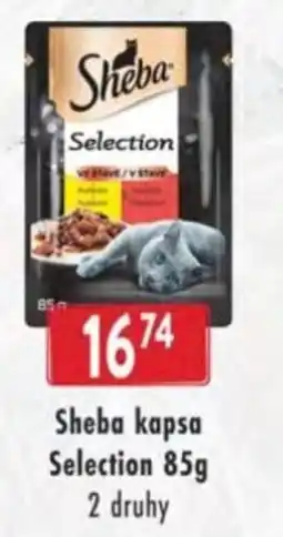 Qanto Sheba kapsa Selection nabídka