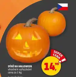 Penny Market DÝNĚ NA HALLOWEEN vhodné k vyřezávání, 1 kg nabídka