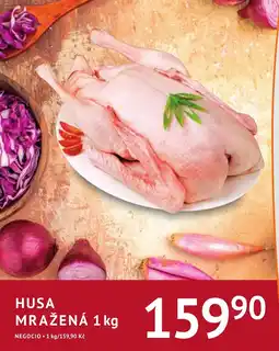 Coop hb Husa mražená nabídka