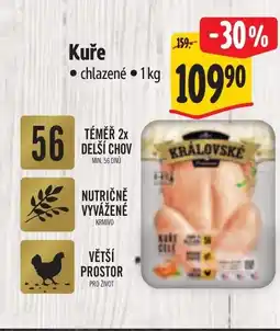 Albert Kuře nabídka
