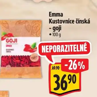 Albert Emma Kustovnice čínská - goji nabídka