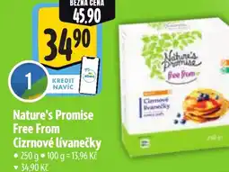 Albert Nature's Promise Free From Cizrnové lívanečky nabídka
