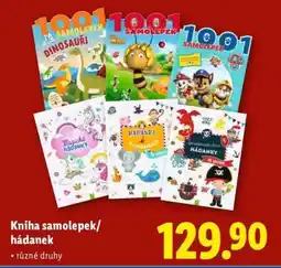 Lidl Kniha samolepek/hádanek nabídka