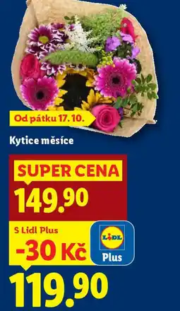Lidl Kytice měsíce nabídka