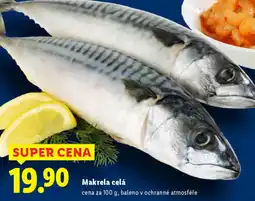 Lidl Makrela celá nabídka