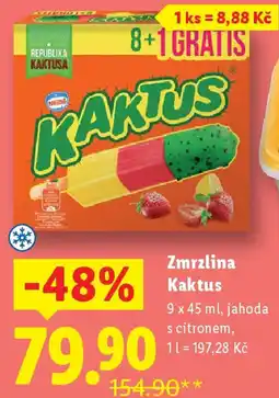 Lidl Zmrzlina Kaktus nabídka