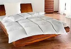 Sconto Péřová přikrývka nabídka