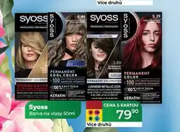 Tamda Foods Syoss Barva na vlasy 50ml nabídka