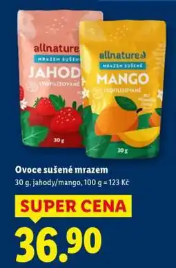 Lidl OVOCE SUŠENÉ MRAZEM nabídka