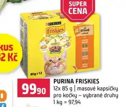 Terno Purina Friskies 12x 85 g nabídka