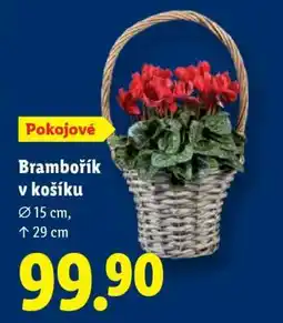 Lidl Brambořík v košíku nabídka