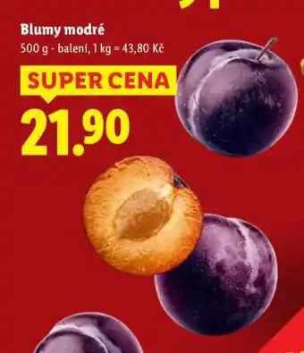 Lidl BLUMY MODRÉ nabídka