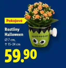 Lidl Rostliny Halloween nabídka