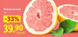 Lidl Pomelo červené nabídka