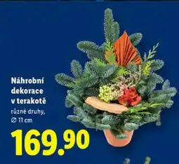 Lidl NÁHROBNÍ DEKORACE V TERAKOTĚ nabídka