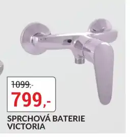 Baumax Sprchová baterie victoria nabídka