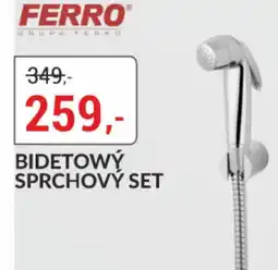 Baumax Bidetowỳ sprchový set nabídka