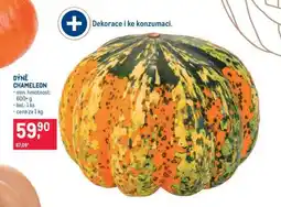 Makro DÝNĚ CHAMELEON nabídka