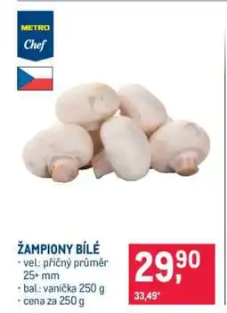 Makro Žampiony bílé nabídka
