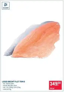 Makro Losos obecný filet trim D nabídka