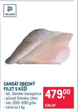 Makro Candát obecný filet s kůží nabídka