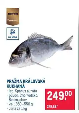 Makro Pražma královská kuchaná nabídka