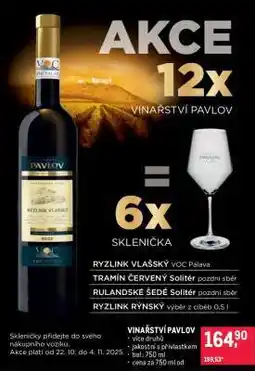 Makro Ryzlink vlašský nabídka