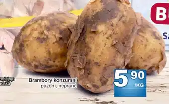 Brambory konzumní