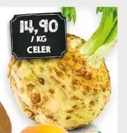 Jip Celer nabídka